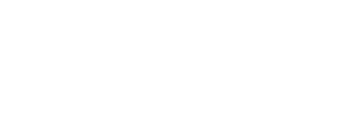 Obex logo